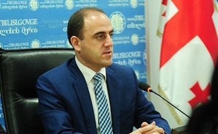 David Narmania: city government has specific questions to “City Park”